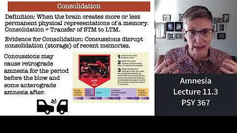 367 Lecture 11.3 Amnesia