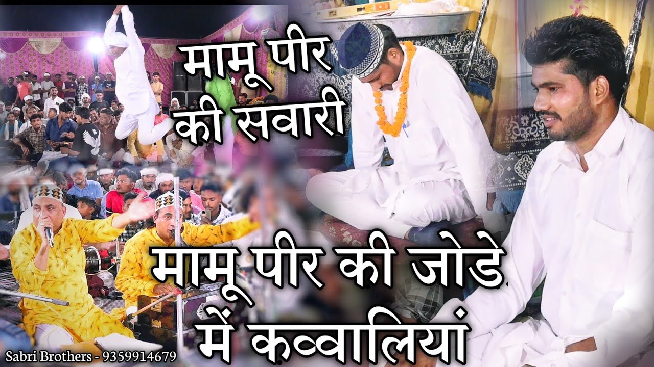 मामू पीर की सवारी - Naam Mamu Ke Kardi Hai Ye Zindgi - Mamu Peer Qawwali - Mamu Peer Ki Qawwali 2024