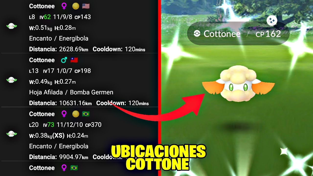Lot Pokémon Go : Gigantamax Inteleon + Shiny Timburr & Cottonee - 129k Mini PTC, NEUF