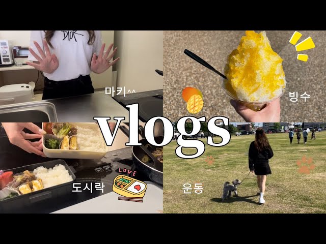 【vlog】在宅ワーカーの休日♪/韓国大好き女の日常/主婦の1日/ピクニック class=