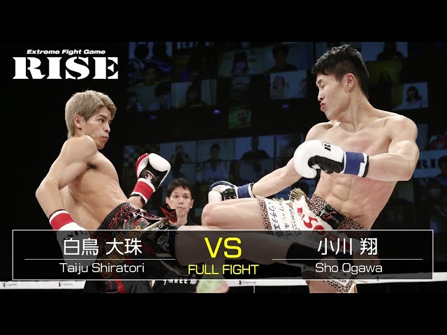 ボクシング shirakaba sddefault.jpg