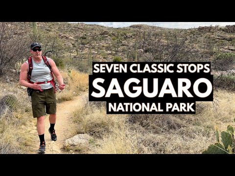 Vídeo: Parque Nacional Saguaro: O Guia Completo