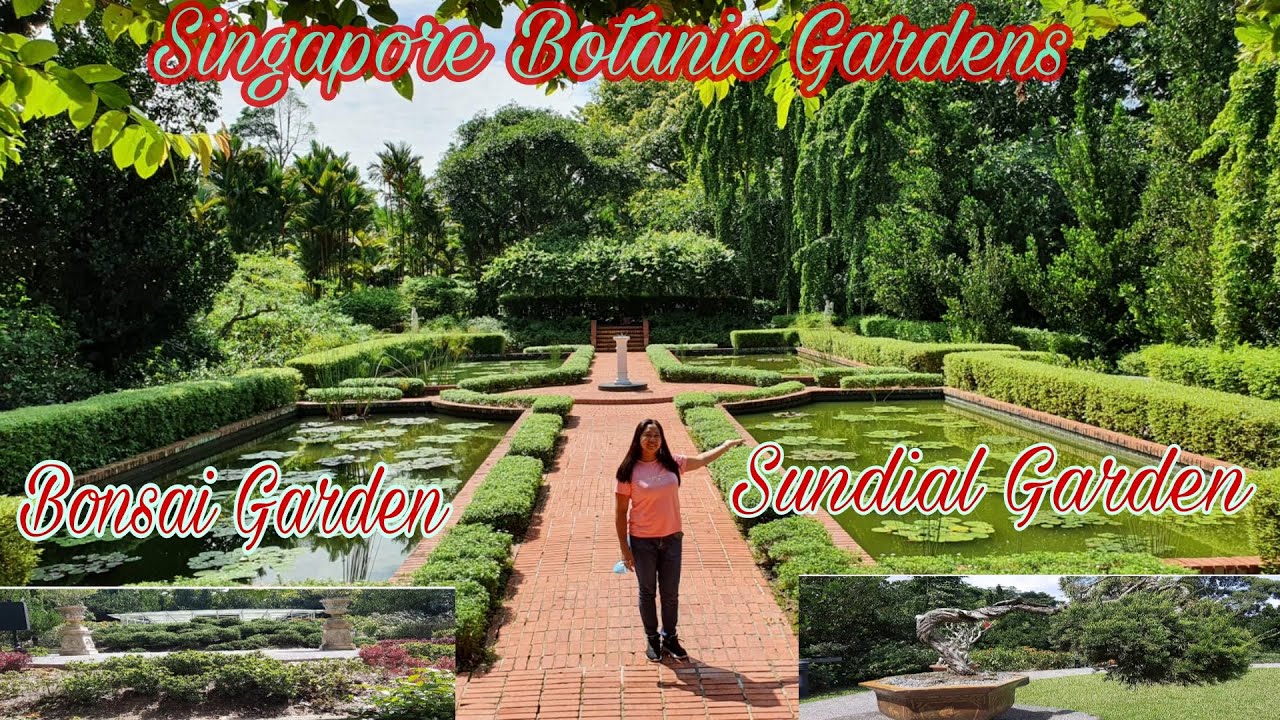 SUNDIAL GARDEN AND BONSAI GARDEN AT SINGAPORE BOTANIC GARDEN // ZSM