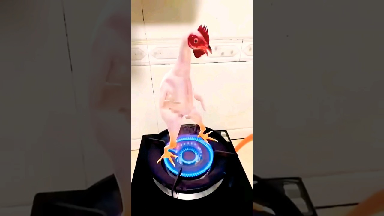 FRANGO NA PANEL 🤪😋😱🥰😇👌🤣 