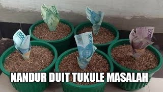 Nandur Duit Tukule Masalah..