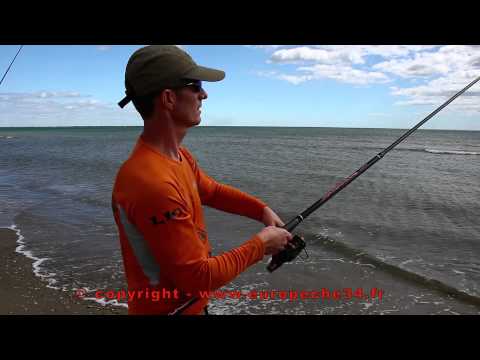 Pêche en surfcasting de la dorade-daurade au Petit Travers à Carnon. Europêche34