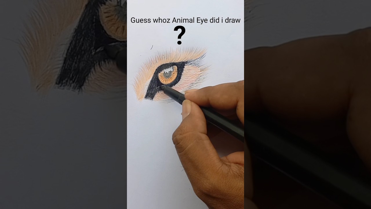 Realistic Animal Eye draw Tutorial✏️ 
