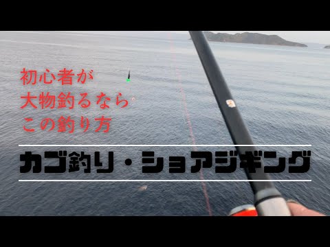 【遠投カゴ釣り ショアジギング】初心者が大物釣るなら、この釣り方がいいと思う