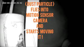 ( Dust  particle )    floats into a motion sensor camera and controls it . well seems like .