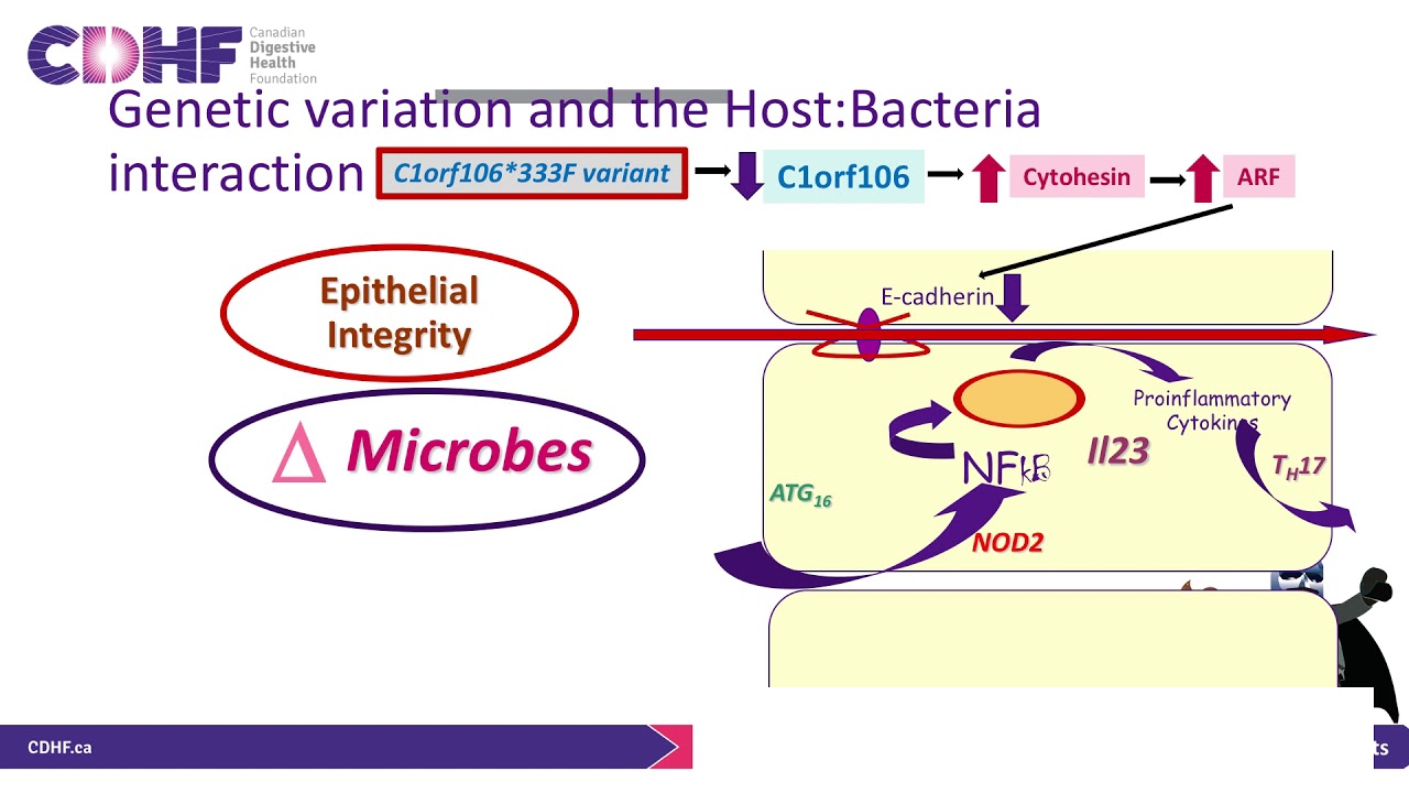 Pediatric Inflammatory Bowel Disease - Dr. Thomas Walters