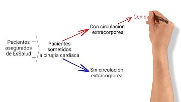 Projecto de tesis doctoral