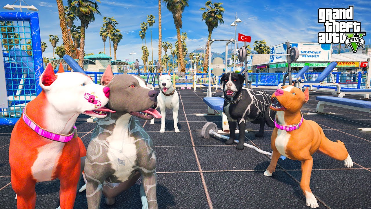 TERMİNATÖR PARAYLA SEVGİLİ TUTUYOR VE HERKESİ KISKANDIRIYOR! - GTA 5