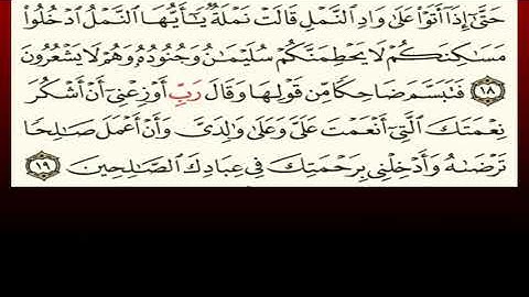 TAFSIIRKA:◇:سورة النمل ١٨-١٩:◇:SH:-MAXAMAD CABDI UMAL حفظه الله