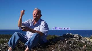 Celebrity How To Bear Much Fruit Profile