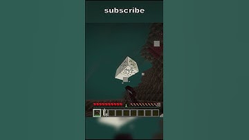 The most useless structure in minecraft.