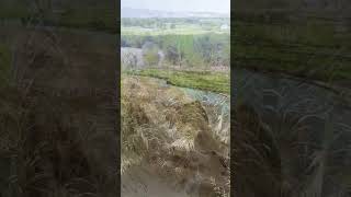 Balamurghab District, Badghis Province, Afghanistan