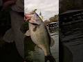 Fishing The BIG Bass Capital Of The World…