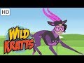 Wild Kratts - Best Season 3 Moments! (Part 3/6) | Kids Videos