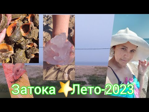 Затока?Лето-2023?Незабываемый отдых ?