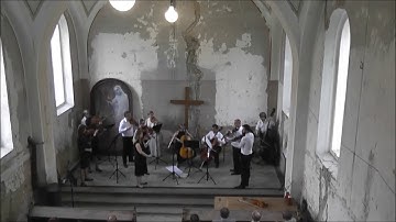 Vox Bohemica - Josef Suk: Serenade for Strings in E flat major Op. 6 (1892) - IV. Allegro giocoso