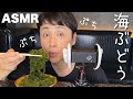 【ASMR】ぷちぷち児嶋が海ぶどう食べる音🍇🌿Sea Grapes 바다포도 咀嚼音