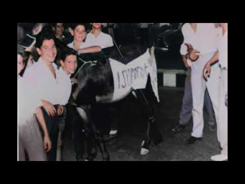 Θεόδωρος Βασιλικός -