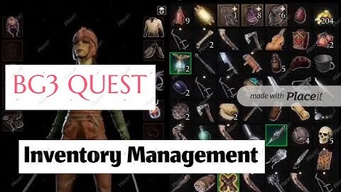 BG3 Inventory Management