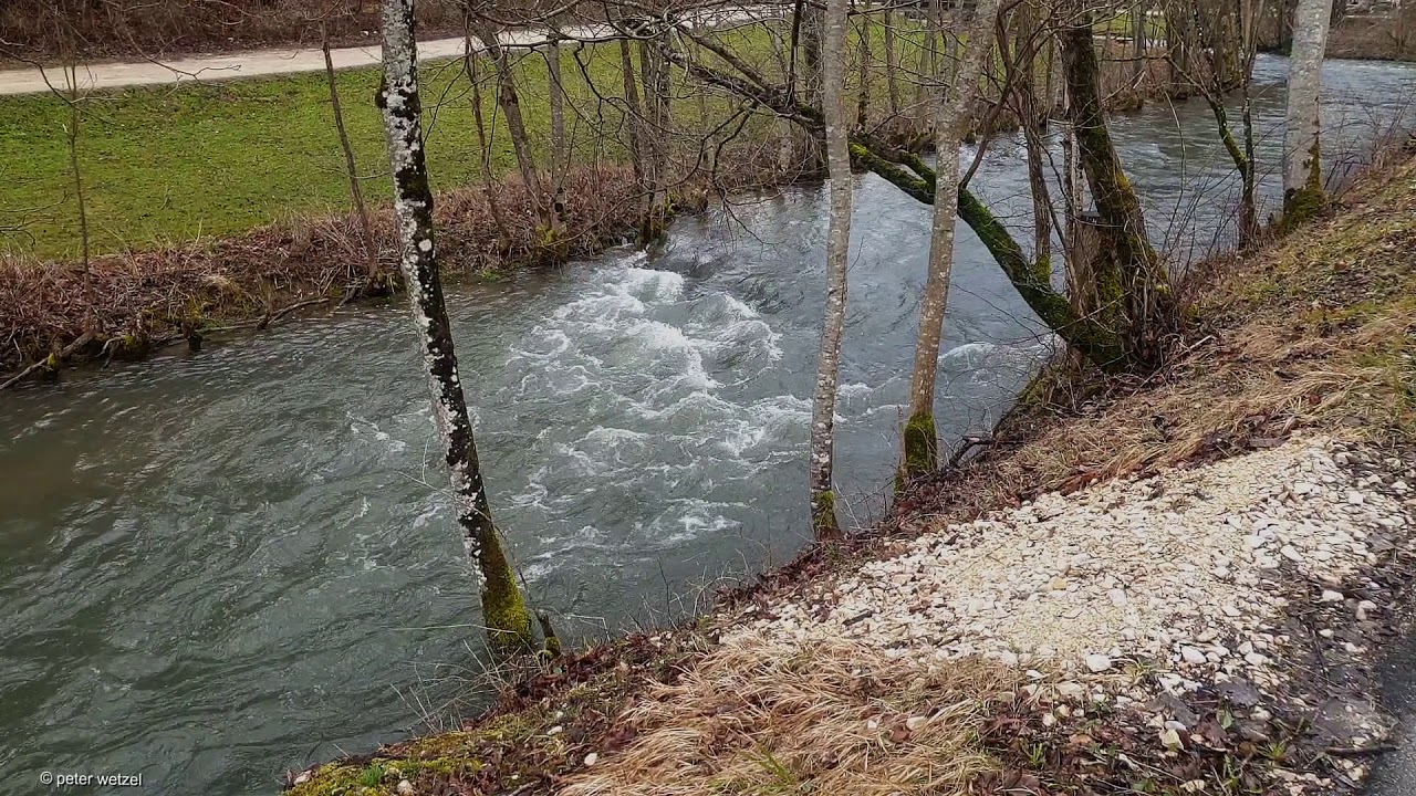 Große Lauter 2020 03 07