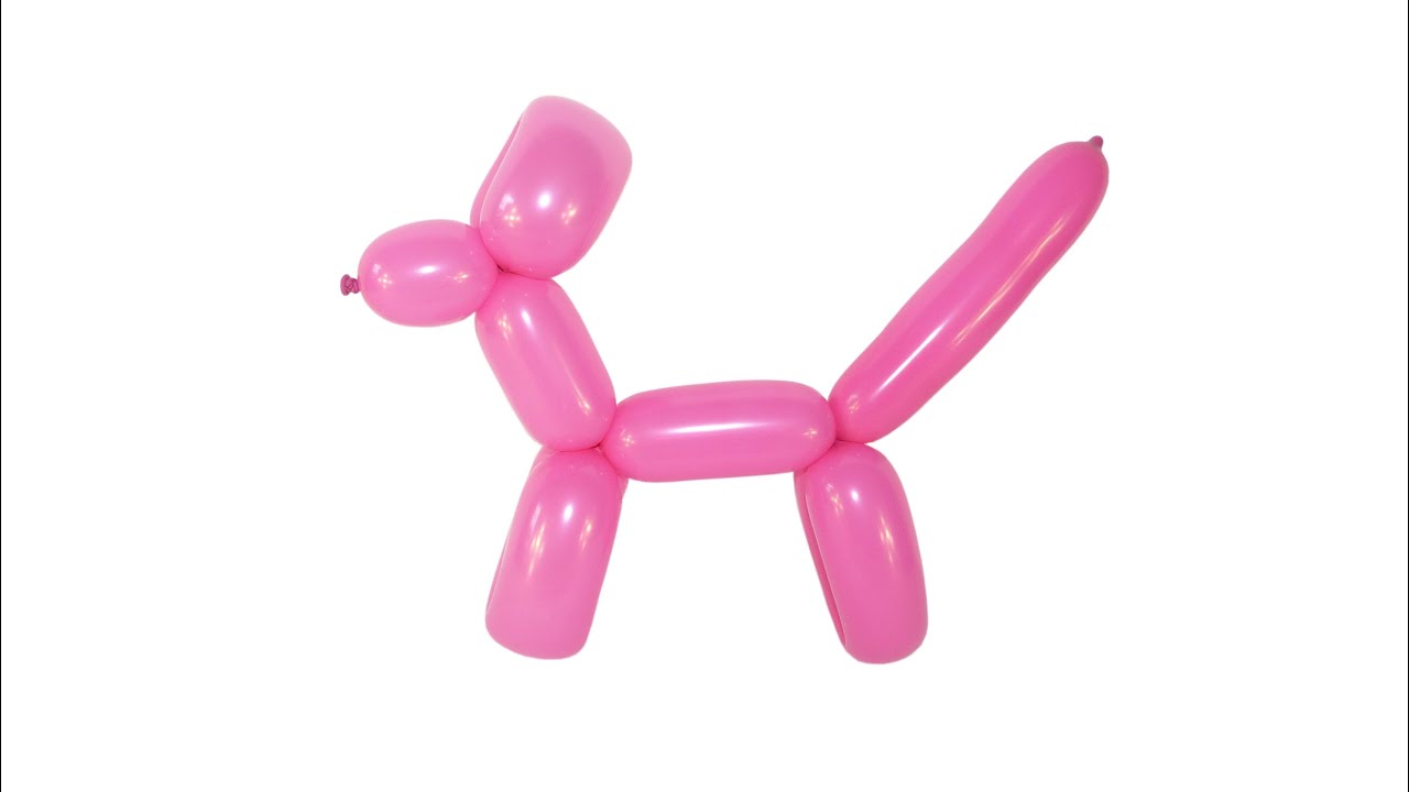 Собака из воздушного шарика. ШДМ собачка. Собачка из ШДМ. Фигуры из шаров для моделирования. Фигурки из воздушных шаров длинных.