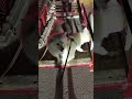 ghumne jana hai #manojkumar #trendingshorts #funny #shortvideo #dogshorts #doglove #latestcomedy#and