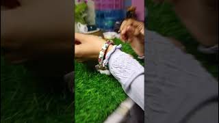minakari bangles... order for dm