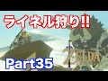 【ゼルダの伝説 BREATH OF THE WILD】 ライネルの居場所と所持武器を解説しながら狩りまくる!! 実況 Part35