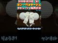 🎀【新カチューシャ盛りだくさん‼️】4月30日(木)ボン・ヴォヤージュ・カチューシャ販売状況大公開✨