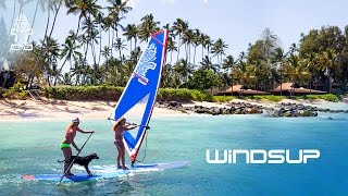 2017 Starboard WindSUP
