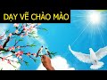 học vẽ chim chào mào tranh trần mây 3d, TT Mỹ Thuật Việt