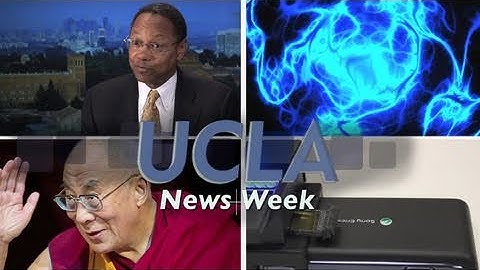 UCLA News|Week: Can traumatic memories be erased?