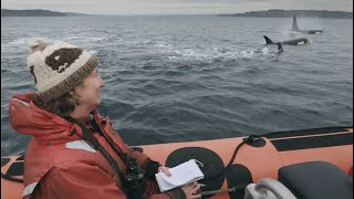 Author Lynda V. Mapes presents “Orca: Shared Waters, Shared Home”