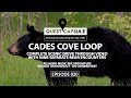 Cades Cove Loop Scenic Drive Through - 9 Black Bear Encounters, Mountain Views, Relaxing Music