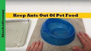 Keep Ants Out Of Pet Food 3 Simple Ways- Cleaning Tips Tricks Hacks