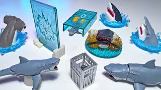 Sharks, Sea Animals Gashapon - Hammerhead Shark, Whale Shark, Great White Shark, Goblin Shark, Seal