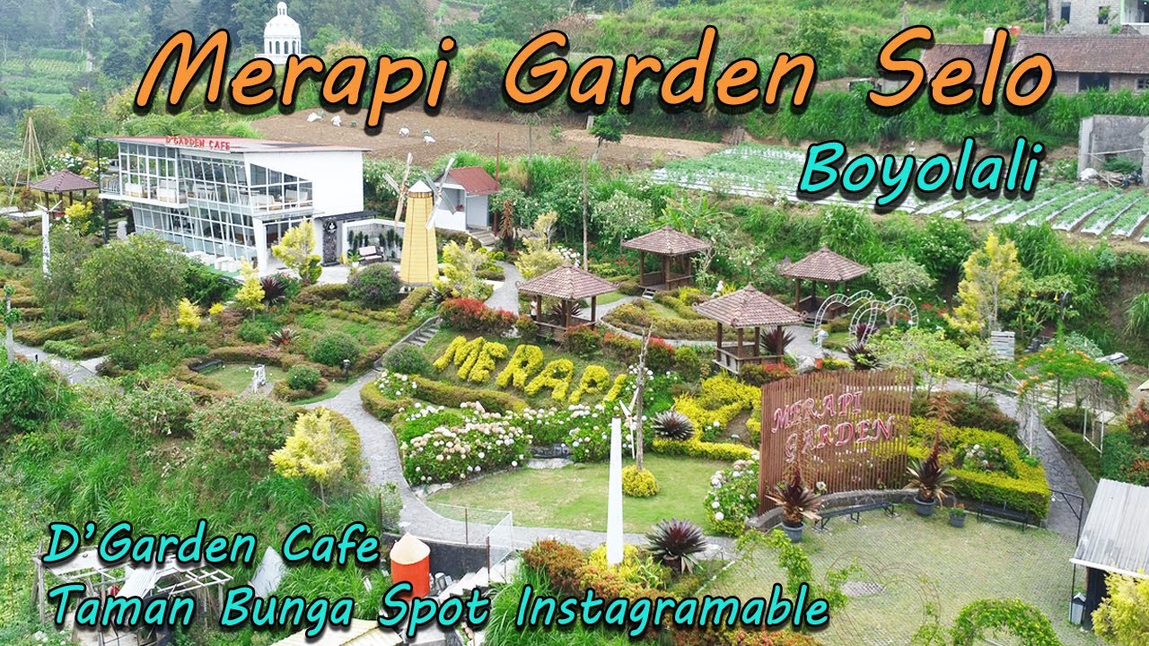 Taman Bunga Merapi Garden Selo Boyolali Wisata Di Lereng Merbabu | D'Garden Cafe View Gunung Merapi