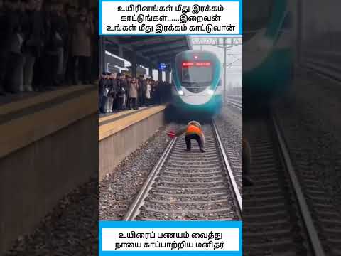 உயிரினங்கள் மீது இரக்கம் காட்டுங்கள்......இறைவன் உங்கள் மீது இரக்கம் காட்டுவான் #shorts