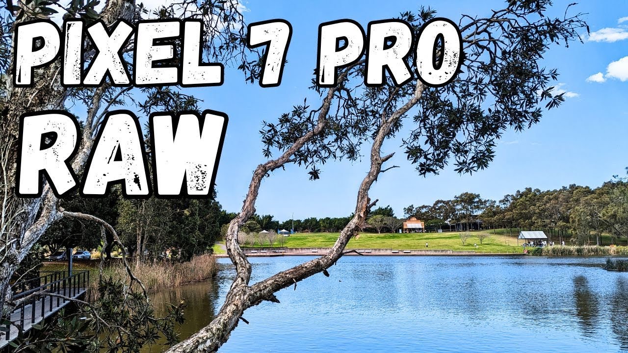 Pixel 7 Pro Phone Camera RAW vs JPG - In the Field Photo Walk