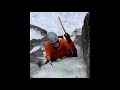 Pitch one repentance cathedral ledge 012324  new hampshire ice climbing iceclimbing