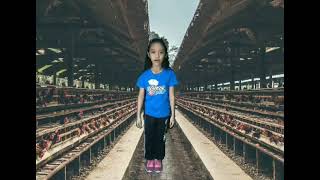 Animals That Lay Eggs Dadventure Of Janzelle