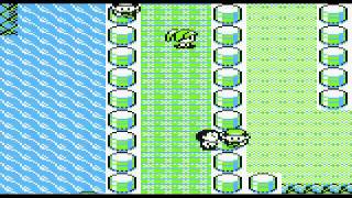 Missingno. Double Item Duplication Glitch Pokemon Yellow