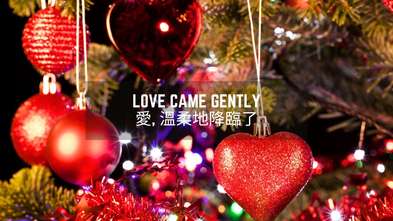 Love Came Gently | 愛, 溫柔地降臨了 - YouTube