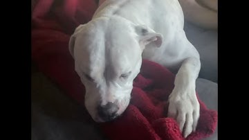 Sorry for not posting today i was busy but w edit?