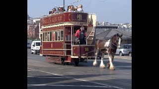 The Douglas Horse Trams