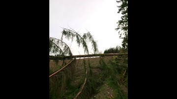 Tight Gap FPV fly through - its getting better! GepRC Mark 5. GoPro 11 mini.